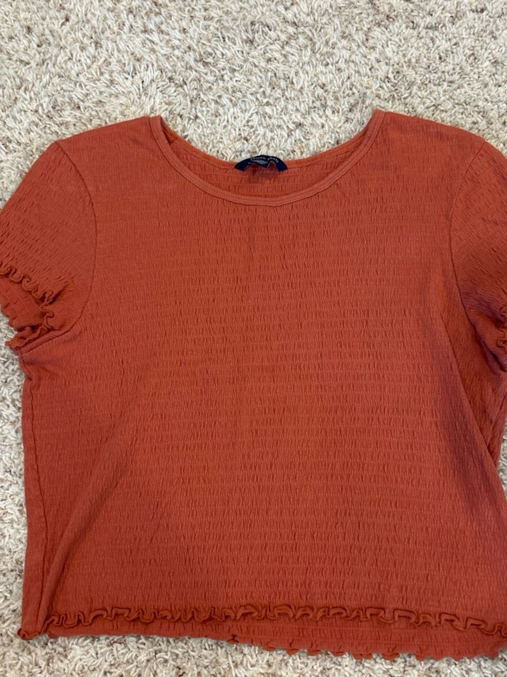 American Eagle Crop Top